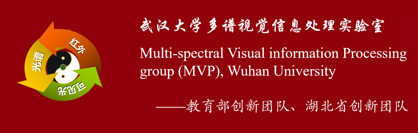 武汉大学多谱视觉信息处理实验室